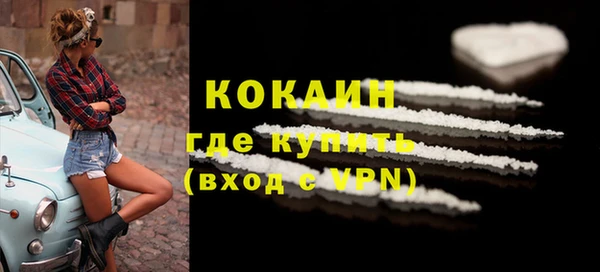 гашик Белокуриха