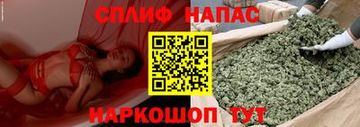 прущие грибы Изобильный