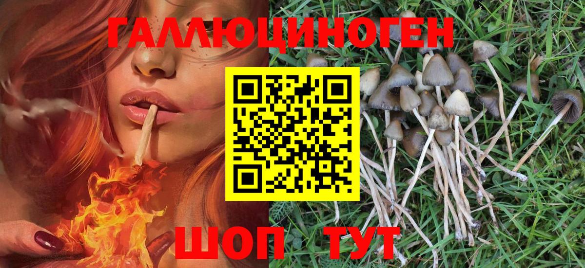 Галлюциногенные грибы Psilocybe  Вход с VPN  Чебаркуль 