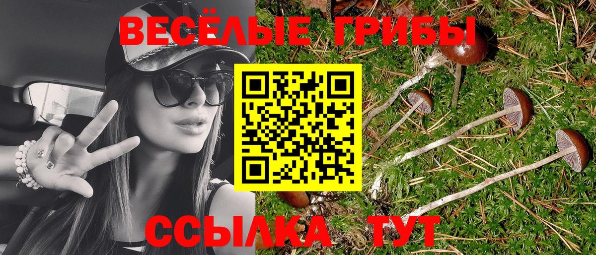 Псилоцибиновые грибы MAGIC MUSHROOMS Чебаркуль